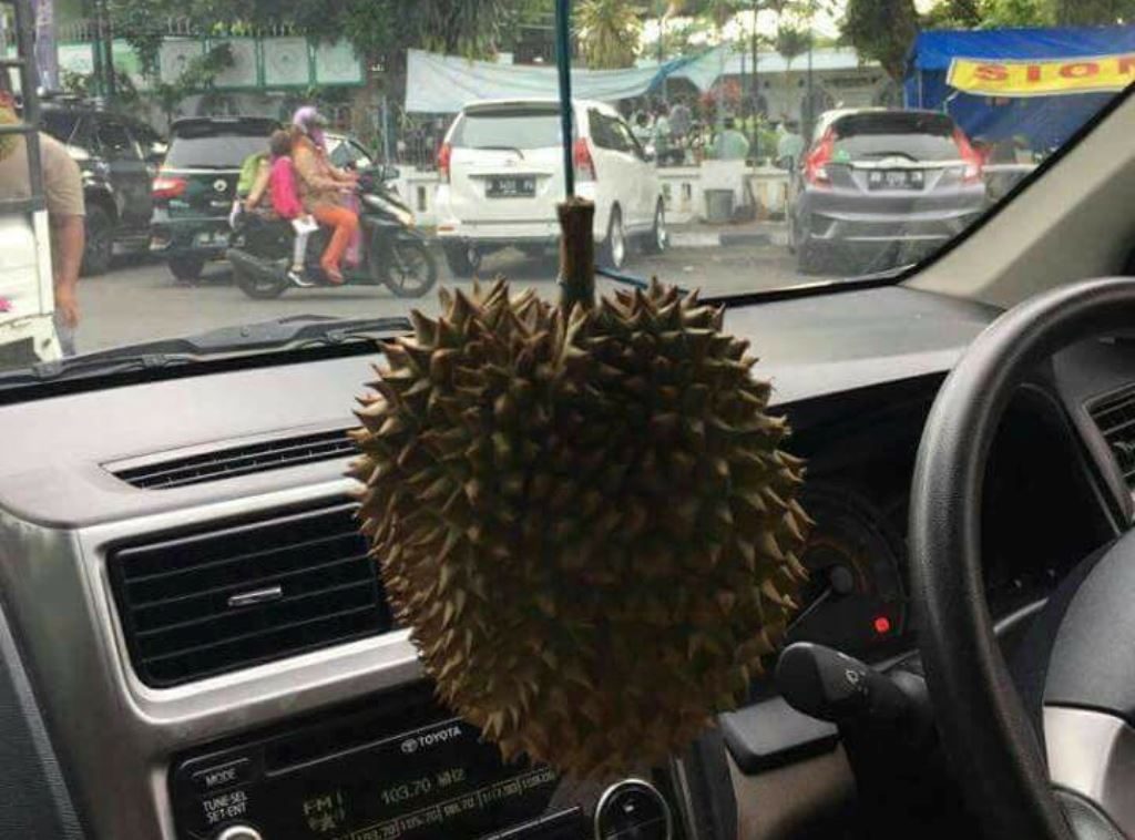 Greget Banget, Pengendara Mobil Ini Pakai Pewangi Mobil Tidak Biasa, Baunya Dijamin Bikin Melek Terus