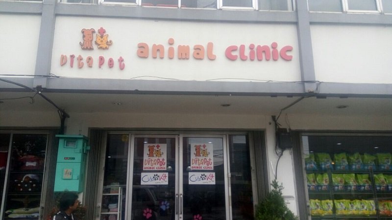 Viral Anjing Mati Setelah Berobat di Klinik, Ini Penjelasan Vitapet