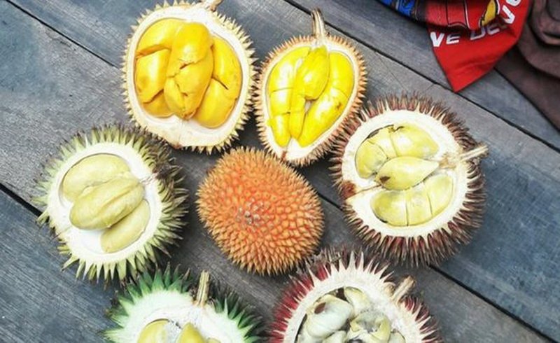 Viral, Durian Segenggaman Tangan dan Rambutan Tanpa Rambut di Kalimantan