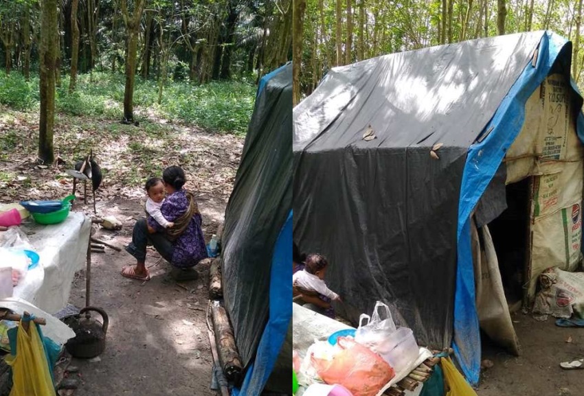 Tinggal di Tengah Hutan, Tangisan Anak Bungsu Keluarga ini saat Malm Hari Sering Dikira Hantu