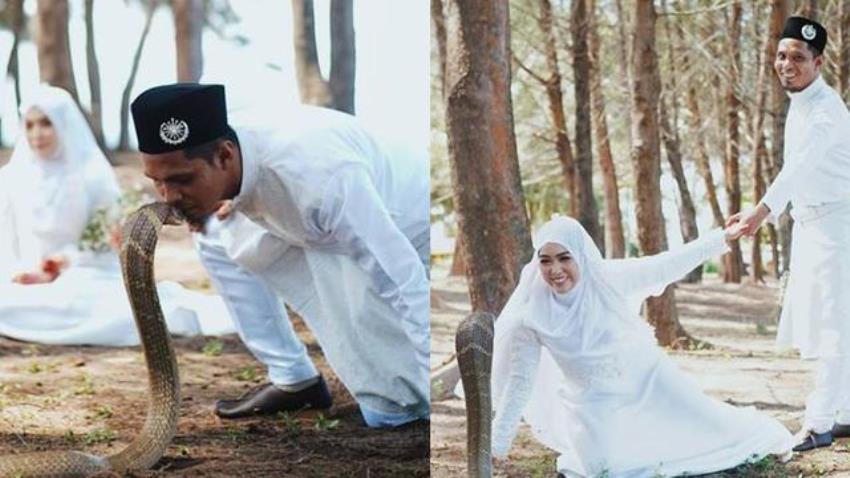 Lakukan Sesi Foto pernikahan dengan Ular King Kobra, Pasangan Pengantin ini Bikin Ngeri