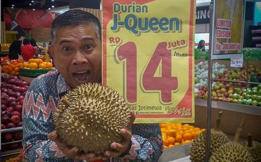 Viral Durian J-Queen Dijual Rp 14 Juta, Ternyata ini Keistimewaannya!