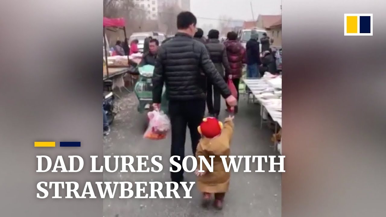 Lucu Banget! Seorang Ayah Pancing Anaknya yang Rewel dengan Stroberi