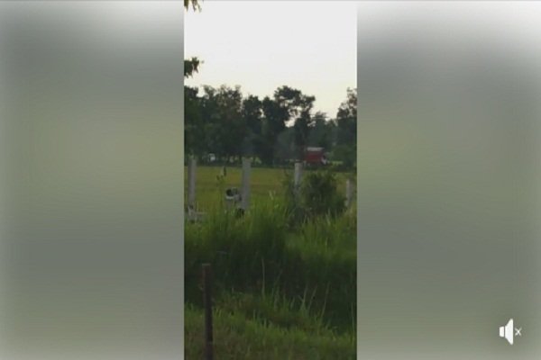 Heboh Muda-mudi Terekam Berbuat Mesum di Taman Sukowati Sragen