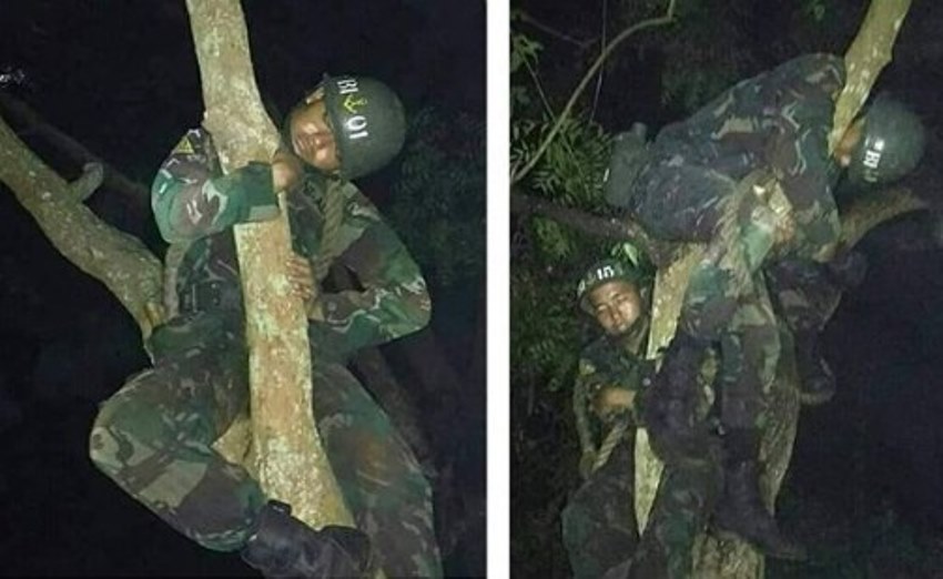 Demi Tugas Negara, Para Prajurit TNI ini Sampai Rela Tidur di Atas Pohon, Foto-Fotonya Viral