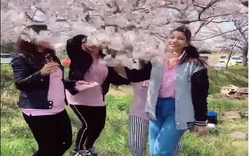 Viral Turis Rontokan Bunga Sakura untuk Main Tik Tok, Netizen: Memalukan!