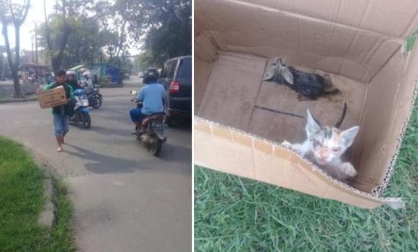 Selamatkan Anak Kucing dari Dalam Got, Aksi Driver Ojol ini Tuai Pujian