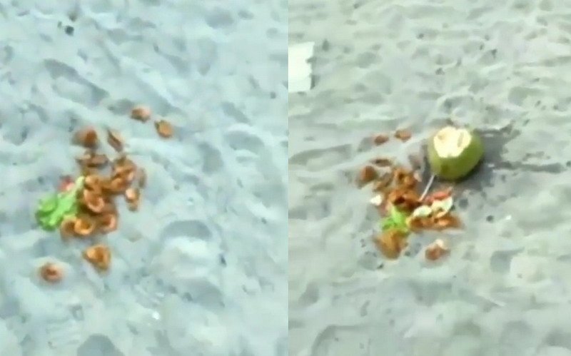 Viral Wisatawan Pantai Jono Buang Makanan Seharga Rp285 Ribu