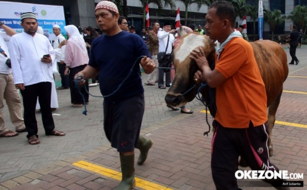 Penjagal Hewan Kurban di Cengkareng Viral Disepak Sapi hingga Giginya Rontok