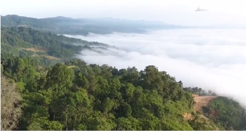 Viral Negeri di Atas Awan Citorek Banten, Faktanya Bikin Kecewa Netizen!