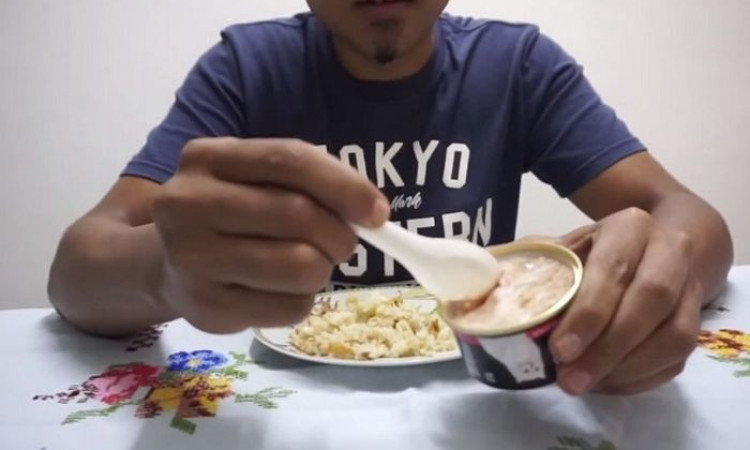 Viral Youtuber Makan Campuran Makanan Kucing dengan Nasi Goreng