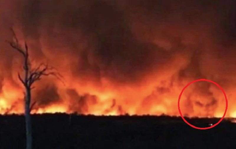 Viral Penampakan Wajah Iblis Muncul saat Kebakaran Hutan di Australia