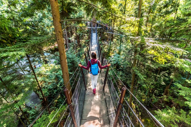 Viral Jembatan Gantung Bengkulu Putus, Intip 3 Destinasi Wisata Serupa di Sumatera