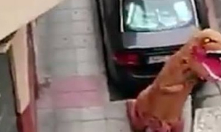 Viral Warga Spanyol Jalan-jalan dengan Kostum Dinosaurus saat Lockdown