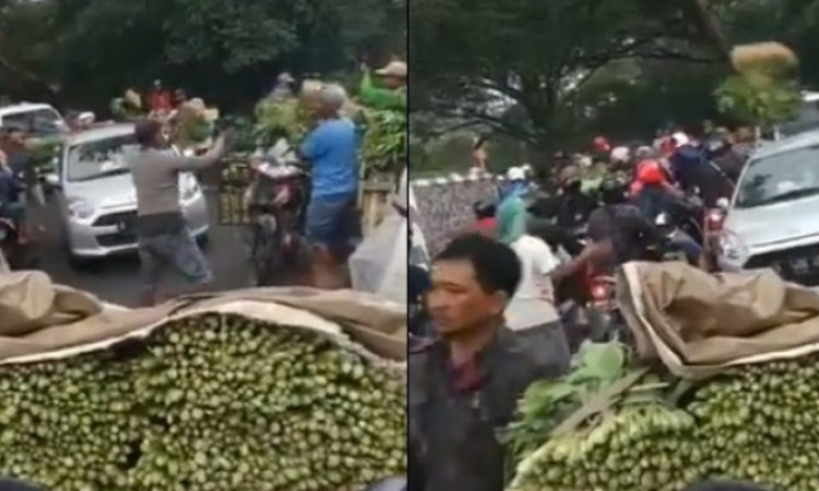 Viral Video Petani di Malang Bagi-bagi Sayuran Gratis di Jalan