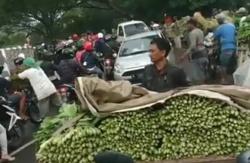 Viral, Ini Alasan Pedagang Buang Sayuran ke Sungai