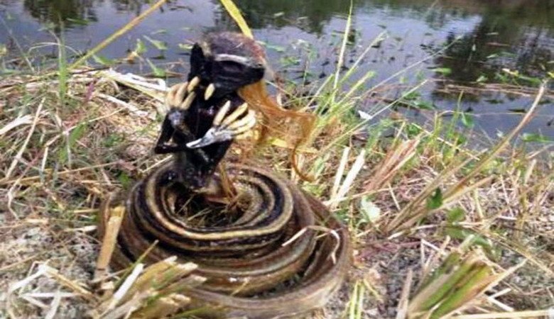 Viral Penemuan Benda Mirip Jenglot Hebohkan Warga Sragen