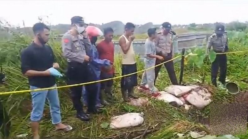 Heboh! Disangka Umbi Busuk Ternyata Kaki Mayat Wanita