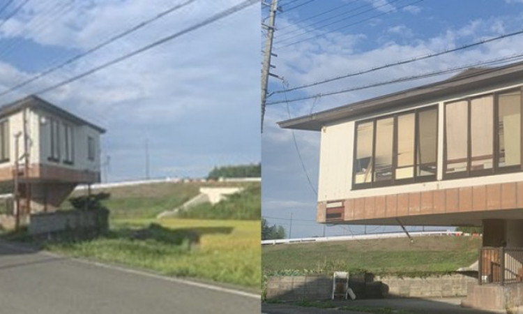 Viral Rumah Mirip Jamur, Bikin Warganet Bingung!