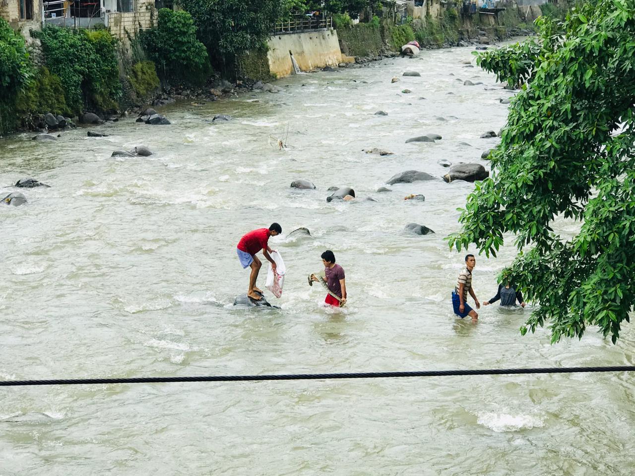 Heboh Aksi Kejar-kejaran Warga dengan Ular Sanca 2,5 Meter di Kali Ciliwung