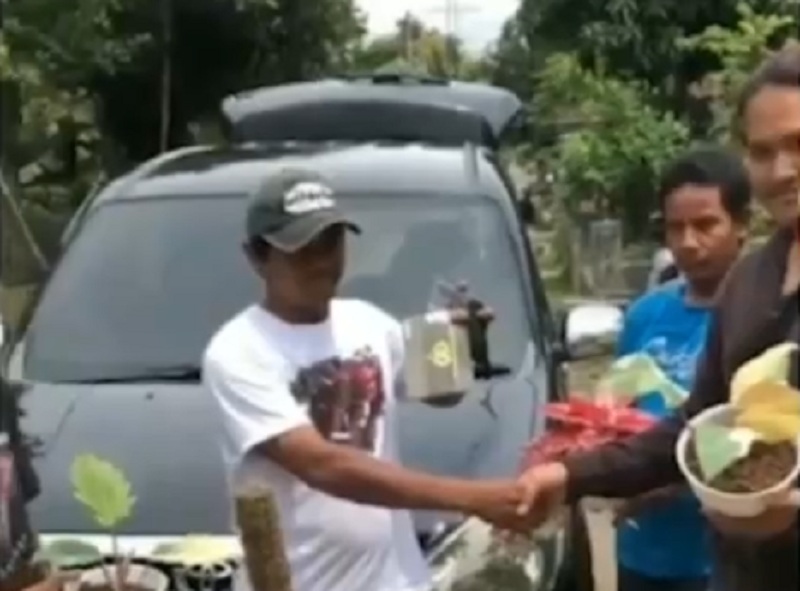 Heboh Barter Mobil dengan Tanaman Hias, Ini 4 Faktanya