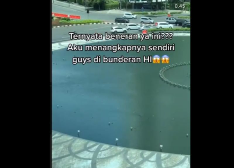 Viral Ada Ular di Air Mancur Bunderan HI Hebohkan Netizen