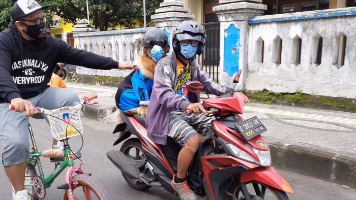 Viral, Anjing Pakai Masker dan Helm Taati Protokol Kesehatan