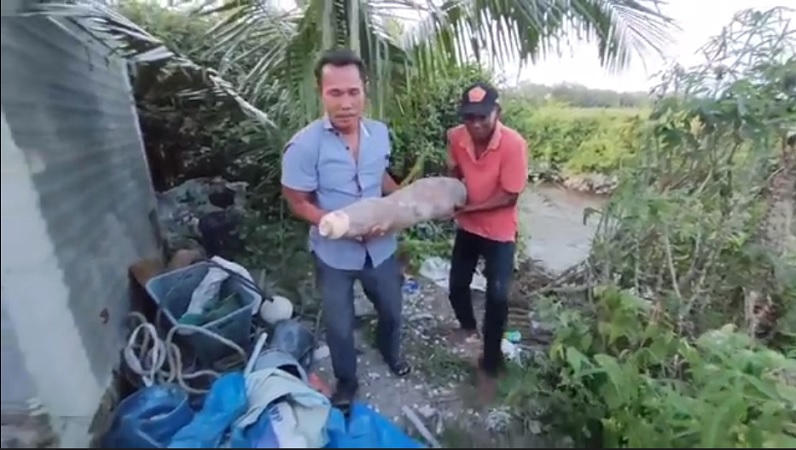 Singkong Raksasa Sepanjang 1,5 Meter Hebohkan Warga