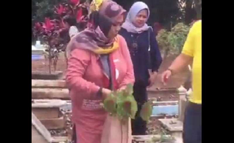 Viral! Heboh Emak-Emak Cabut Tanaman Sampai ke Kuburan