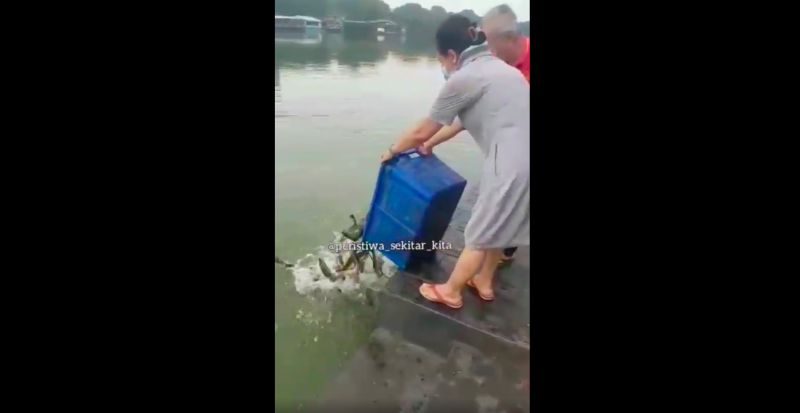 Viral Video Warga Lepas Ribuan Ekor Lele, Netizen Sebut Tradisi Masyarakat Tionghoa