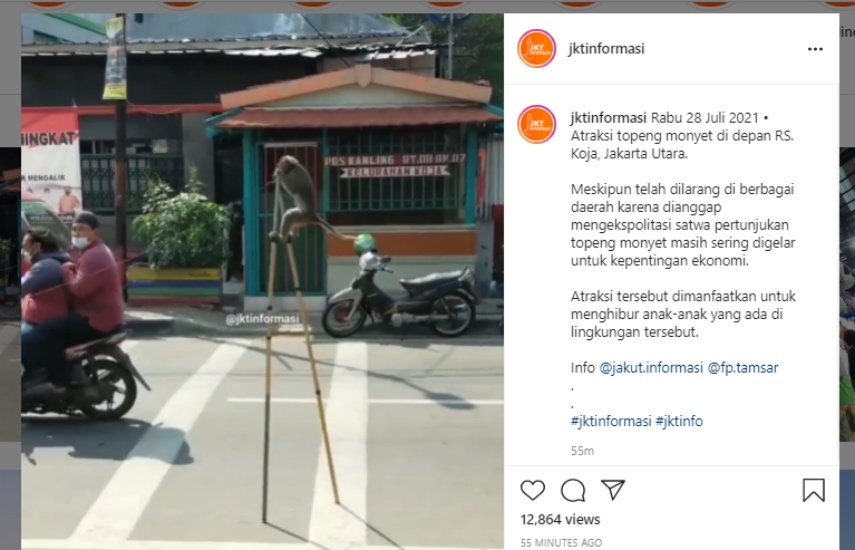 Viral Atraksi Topeng Monyet di Jakarta Utara, Padahal Sudah Dilarang Lama