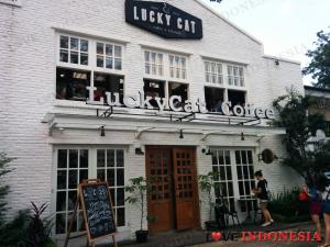 Lucky Cat Coffee